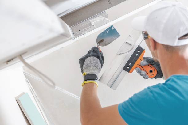 Best Mold Damage Restoration  in Sumiton, AL